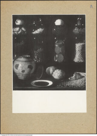 Vorderseite von bh149564_recto