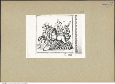 Vorderseite von bh149883_recto