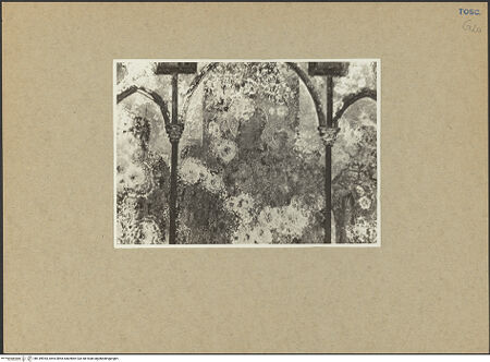 Vorderseite von bh149954_recto