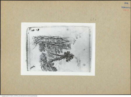 Vorderseite von bh150346-1_bh150346-2_recto