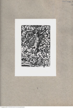 Vorderseite von  [http://creativecommons.org/publicdomain/mark/1.0/] ... - , bh150968. Foto.