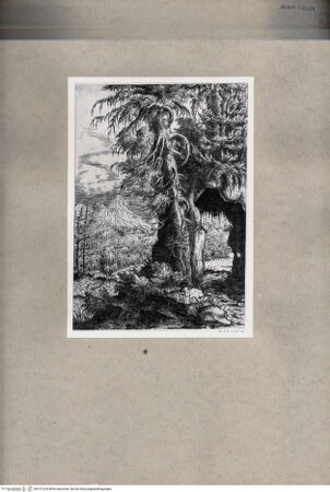 Vorderseite von  [http://creativecommons.org/publicdomain/mark/1.0/] ... - , bh151324. Foto.