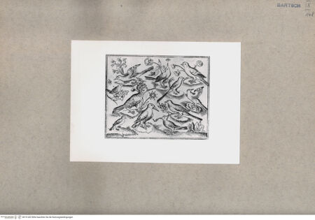 Vorderseite von  [http://creativecommons.org/publicdomain/mark/1.0/] ... - , bh151432. Foto.