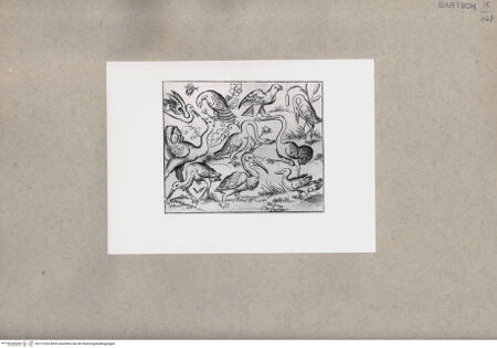 Vorderseite von  [http://creativecommons.org/publicdomain/mark/1.0/] ... - , bh151433. Foto.