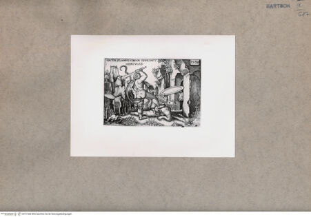 Vorderseite von  [http://creativecommons.org/publicdomain/mark/1.0/] ... - , bh151568. Foto.