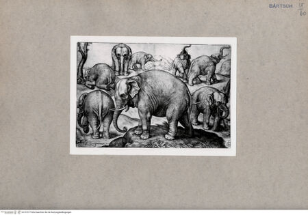 Vorderseite von  [http://creativecommons.org/publicdomain/mark/1.0/] ... - , bh151577. Foto.