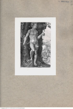 Vorderseite von  [http://creativecommons.org/publicdomain/mark/1.0/] Adam - , bh151742. Foto.