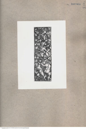 Vorderseite von  [http://creativecommons.org/publicdomain/mark/1.0/] ... - , bh151788. Foto.