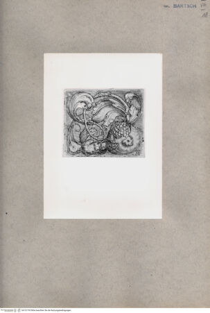 Vorderseite von  [http://creativecommons.org/publicdomain/mark/1.0/] ... - , bh151793. Foto.