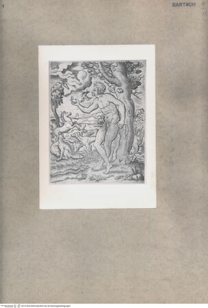 Vorderseite von  [http://creativecommons.org/publicdomain/mark/1.0/] Adam und Eva - , bh151829. Foto.