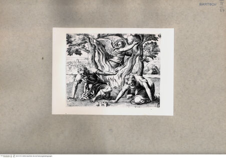 Vorderseite von  [http://creativecommons.org/publicdomain/mark/1.0/] ... - , bh151913. Foto.