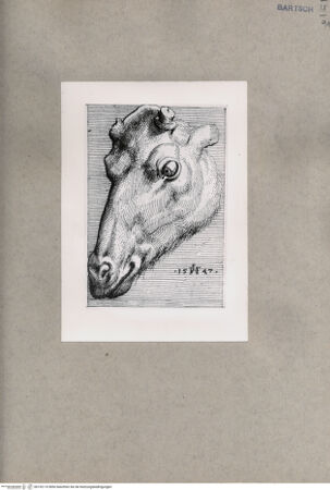 Vorderseite von  [http://creativecommons.org/publicdomain/mark/1.0/] ... - , bh152110. Foto.