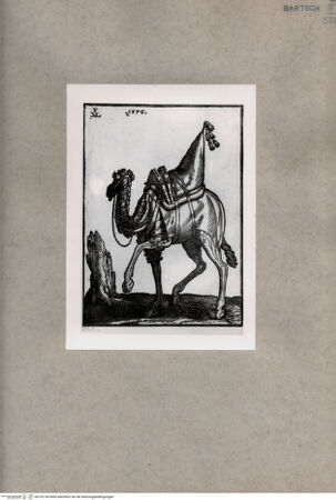 Vorderseite von  [http://creativecommons.org/publicdomain/mark/1.0/] , bh152136. Foto.