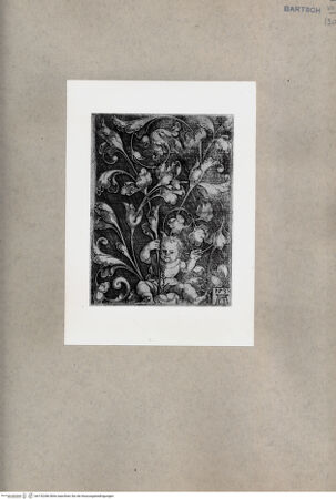 Vorderseite von  [http://creativecommons.org/publicdomain/mark/1.0/] ... - , bh152286. Foto.