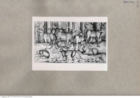 Vorderseite von  [http://creativecommons.org/publicdomain/mark/1.0/] ... - , bh152744. Foto.