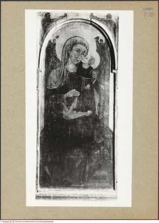 Vorderseite von  [http://creativecommons.org/publicdomain/mark/1.0/] ... - , bh152744_recto. Foto.