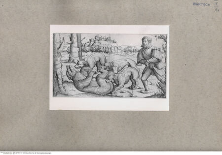 Vorderseite von  [http://creativecommons.org/publicdomain/mark/1.0/] Jagd - , bh152745. Foto.