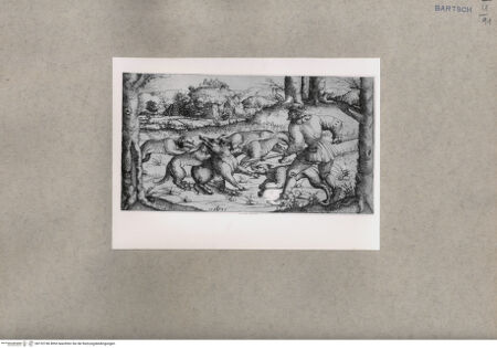 Vorderseite von  [http://creativecommons.org/publicdomain/mark/1.0/] Jagd - , bh152746. Foto.