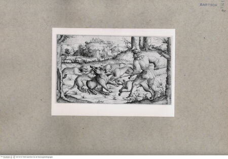 Vorderseite von  [http://creativecommons.org/publicdomain/mark/1.0/] Jagd - , bh152747. Foto.