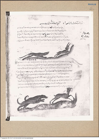 Vorderseite von bh152779_recto