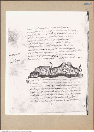 Vorderseite von bh152783_recto