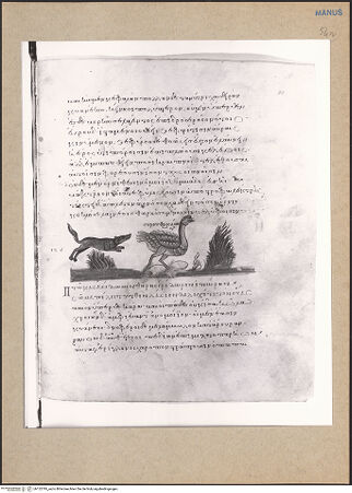 Vorderseite von bh152795_recto