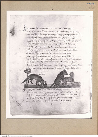 Vorderseite von bh152803_recto