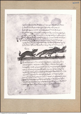 Vorderseite von bh152805_recto