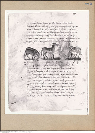 Vorderseite von bh152811_recto