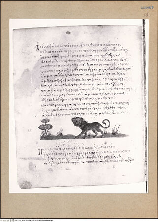 Vorderseite von bh152820_recto