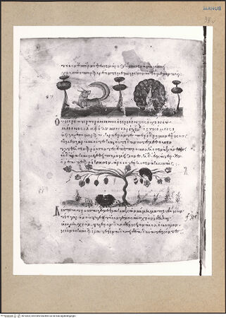 Vorderseite von bh152824_recto