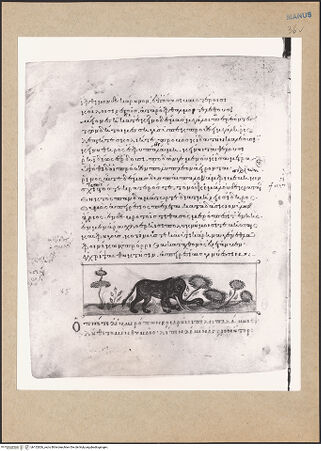 Vorderseite von bh152826_recto