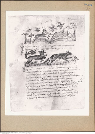 Vorderseite von bh152832_recto