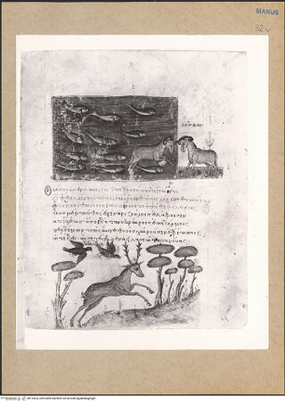 Vorderseite von bh152833_recto