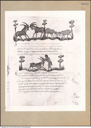 Vorderseite von bh152835_recto