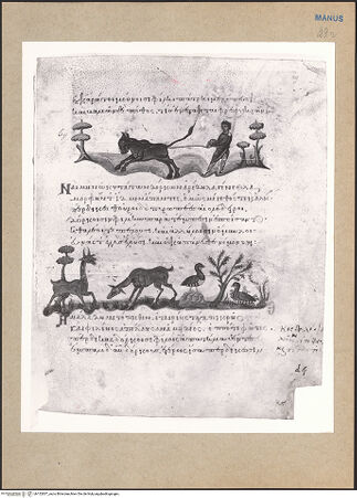 Vorderseite von bh152837_recto