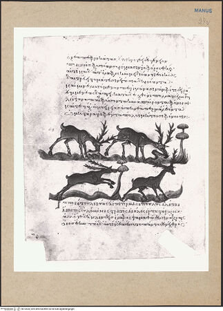 Vorderseite von bh152838_recto