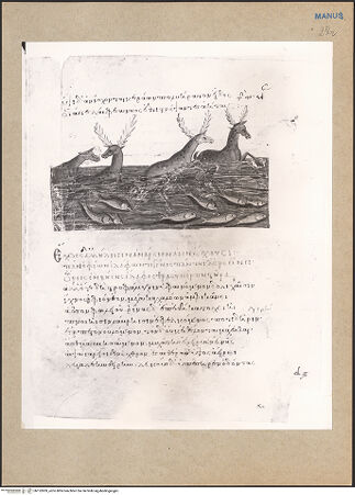 Vorderseite von bh152839_recto