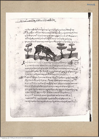 Vorderseite von bh152840_recto