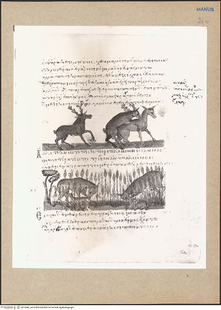 Vorderseite von bh152841_recto