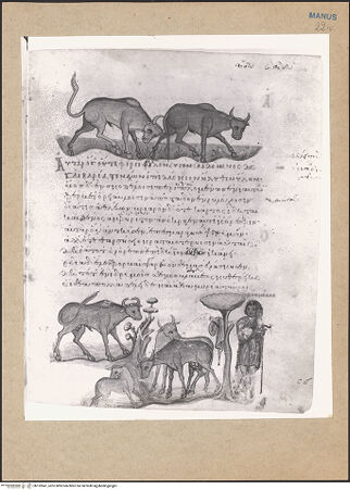 Vorderseite von bh152847_recto