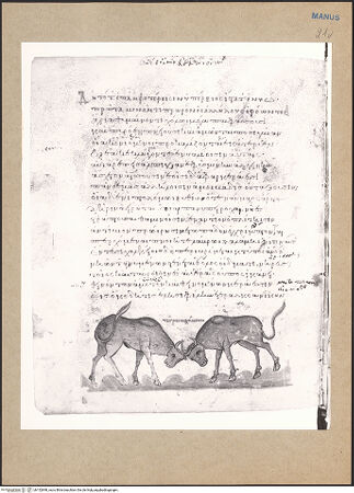 Vorderseite von bh152848_recto