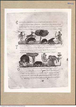 Vorderseite von bh152850_recto