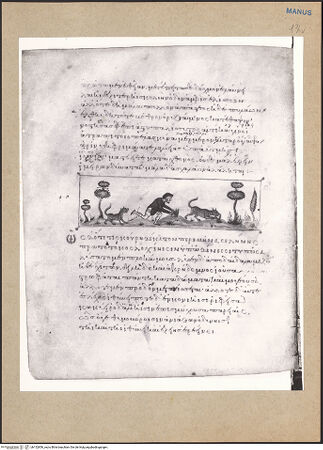 Vorderseite von bh152856_recto