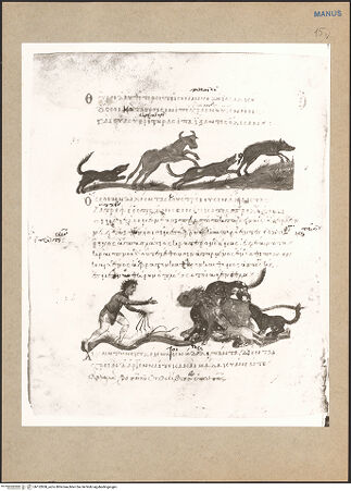 Vorderseite von bh152858_recto