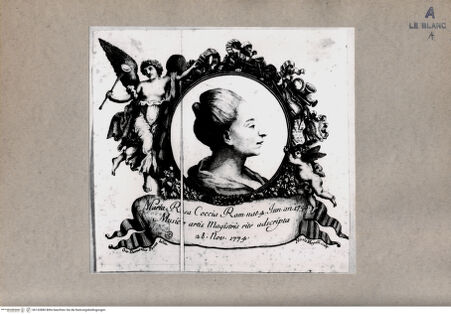 Vorderseite von  [http://creativecommons.org/publicdomain/mark/1.0/] Die Musikerin M.R. Coccia - , bh152880. Foto.