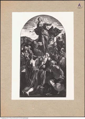 Vorderseite von bh153003_recto