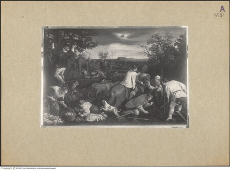 Vorderseite von bh153007_recto