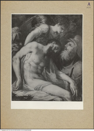 Vorderseite von bh153036_recto