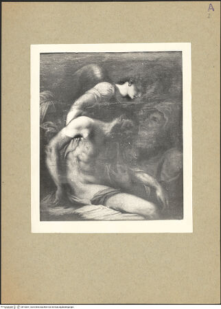 Vorderseite von bh153041_recto